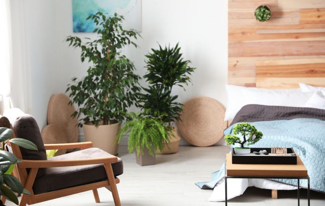 How Thoughtful Floor Plans Improve Daily Living and Workflow in Staunton, VA