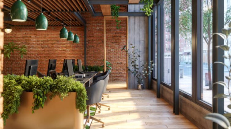 Designing Spaces That Support Wellness at Home and Work in Staunton, VA